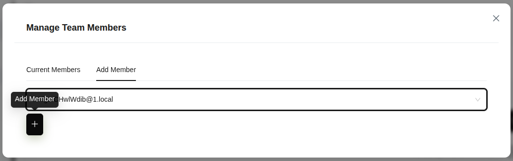 Форма управления членами команды - вкладки "Текущие члены" и "Добавить члена"